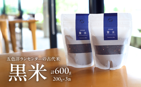 淡路島 五色洋ランセンターの古代米 黒米 200g×3袋 計600g セット 古代米 米 お米 玄米 健康 健康食品 ビタミン ミネラル 洲本市