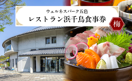 ウェルネスパーク五色 レストラン浜千鳥 食事券 (梅) お食事券 3000円分 チケット 兵庫県 洲本市 淡路島
