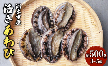 天然 活あわび 3～5個 約500g あわび 鮑 活アワビ 魚介 魚介類 貝 貝類 海鮮 海鮮セット 淡路島 洲本市　お届け：2025年11月上旬～2026年12月下旬