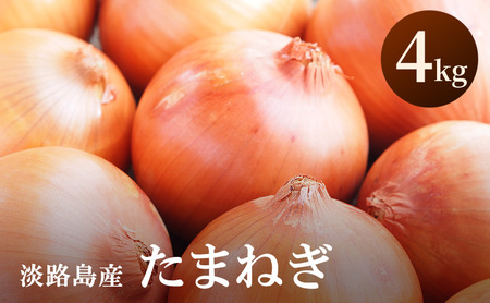 淡路島産 玉ねぎ 4kg たまねぎ タマネギ 甘い 野菜 旬の野菜 季節の野菜 兵庫県 洲本市 淡路島