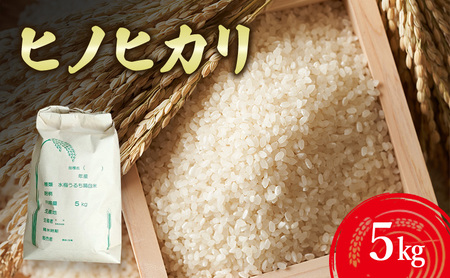 とみた農園 ヒノヒカリ 5kg 米 白米 精米 こめ お米 コメ ひのひかり5キロ ひのひかり 5キロ 米5キロ 淡路島産 洲本市　お届け：11月初旬より発送開始