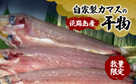数量限定 淡路島産 自家製 カマスの干物 5～7匹 カマス かます 干物 ひもの 焼き魚 魚介 海の幸 朝食 晩酌 おかず つまみ 酒の肴 淡路島 洲本市　お届け：2026年9月下旬～2026年11月下旬まで