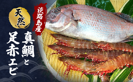 先行予約 淡路島産 天然 真鯛 ＆ 足赤エビ セット 鯛 タイ 海老 エビ 天然真鯛 天然赤海老 天然海老 魚 魚介 海鮮 海の幸 淡路島 洲本市　お届け：2026年11月上旬～2026年12月下旬まで