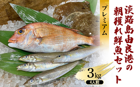 淡路島 由良港 朝獲れ 鮮魚 3種類 3kg 4人前 プレミアム 詰め合わせ セット 鮮魚ボックス 魚セット 魚 魚介 海鮮 海の幸 おかず 惣菜 おつまみ つまみ 酒の肴 洲本市