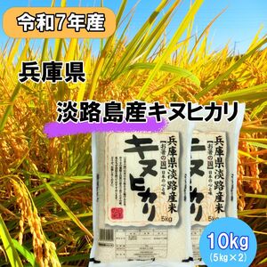 令和7年産 キヌヒカリ 10kg (5kg×2) 米 白米 精米 こめ お米 コメ キヌヒカリ10kg 10キロ 米10キロ 淡路島産 洲本市