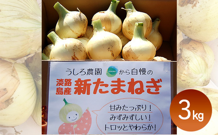 淡路島産 新玉ねぎ 3kg うしろ農園 極早生 玉ねぎ 玉葱 タマネギ 甘い 野菜 兵庫県 洲本市 淡路島