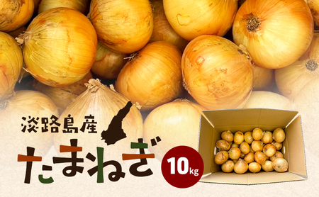 淡路島産 たまねぎ 10kg 玉ねぎ 玉葱 タマネギ 甘い 野菜 兵庫県 洲本市 淡路島