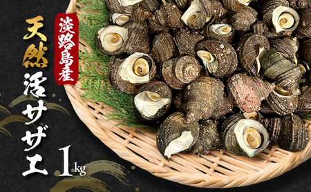 天然 活サザエ 1kg サザエ さざえ 貝 貝類 魚介 魚介類 海鮮 海鮮セット 刺身 お刺身 つぼ焼き 淡路島 洲本市　お届け：6月上旬～3月上旬