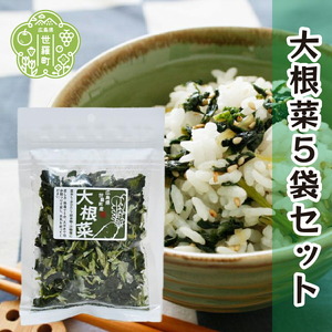 乾燥大根菜 25g×5袋セット