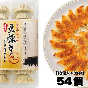 【大阪名物】大阪ふくちぁん黒豚餃子 冷凍生餃子 54個 ［18個入×3セット］