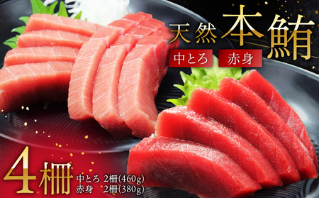 天然 本鮪 中とろ 2柵 ・ 赤身 2柵 M007-008-01 冷凍 マグロ