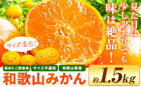 みかん 訳あり 和歌山みかん 約1.5kg 柑橘