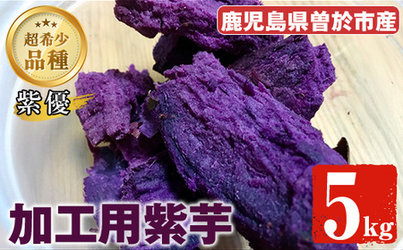 ＜先行予約受付中！2026年9月以降順次発送予定！＞紫芋 加工用さつまいも紫優(5kg)【瀬崎農園】A418-v02