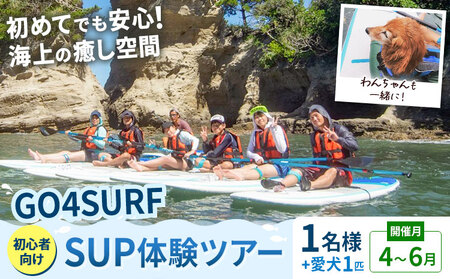 初心者向けSUP体験ツアー 1名様＋愛犬1匹 4-6月 GO4SURF《30日以内に出荷予定(土日祝除く)》千葉県 勝浦市 マリンアクティビティ体験 マリンスポーツ 海 SUP サップ 愛犬 わんちゃん 初心者向け 初心者 体験 6歳から可能
