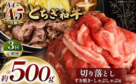 【定期3回】最高位賞を受賞！最高級ブランドの柔らかく風味豊かなとちぎ和牛切り落とし 500g（すき焼き・しゃぶしゃぶ用） | 霜降り 和牛 切り落とし とろける 品質 柔らかく 銘柄牛 安心 安全 美味しい おいしい 芸術品 特産品 ふるさと 納税 栃木県共通返礼品 栃木県 那珂川町 送料無料