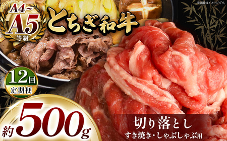 【定期12回】最高位賞を受賞！最高級ブランドの柔らかく風味豊かなとちぎ和牛切り落とし 500g（すき焼き・しゃぶしゃぶ用） | 霜降り 和牛 切り落とし とろける 品質 柔らかく 銘柄牛 安心 安全 美味しい おいしい 芸術品 特産品 ふるさと 納税 栃木県共通返礼品 栃木県 那珂川町 送料無料