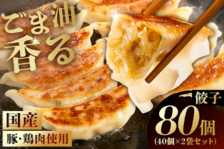 餃子　40個×2袋セット mi0115-0002 餃子