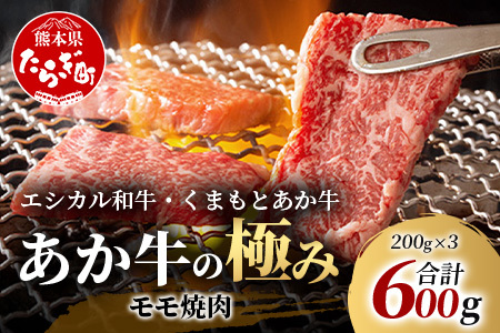 【エシカル和牛】くまもとあか牛【あか牛の極み】モモ焼肉 200g×3 (計 600g) モモ 赤身 熊本 あか牛 牛肉 小分け 焼肉 焼き肉 やきにく BBQ バーベキュー 和牛 国産 SDGs 033-0512