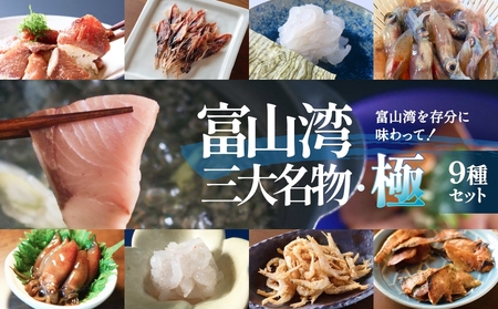 富山湾三大名物・極 鰤 ホタルイカ 白えび つめ合わせ ブリ ほたるいか 富山県 氷見市　ホタルイカ