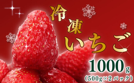 冷凍いちご 1000g いちご 冷凍いちご 【極実屋】