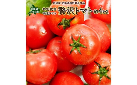＜早期予約・数量限定＞北海道ニセコ町 贅沢トマト4kg【2026年産】【32005】