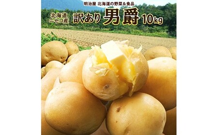 〈早期予約・数量限定〉北海道ニセコ町 訳ありじゃがいも男爵10kg【2026年産】【3201002】