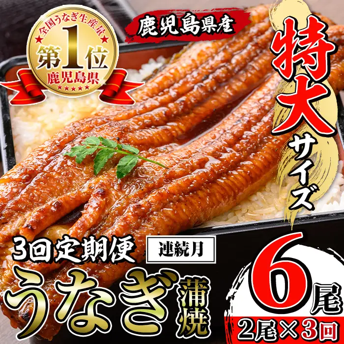 【3回定期便(連続月)】鹿児島県産 うなぎ蒲焼 特大 サイズ 2尾セット ＜（約220g×2・計約440g）×全3回＞  【薩摩川内鰻】 i1172-A