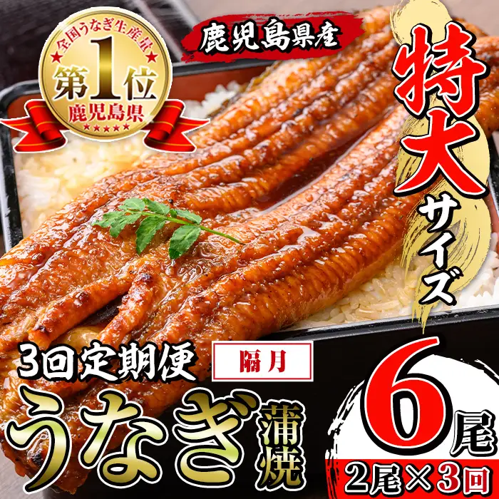 【3回定期便(隔月)】鹿児島県産 うなぎ蒲焼 特大 サイズ 2尾セット＜（約220g×2・計約440g）×全3回＞  【薩摩川内鰻】 i1172-B