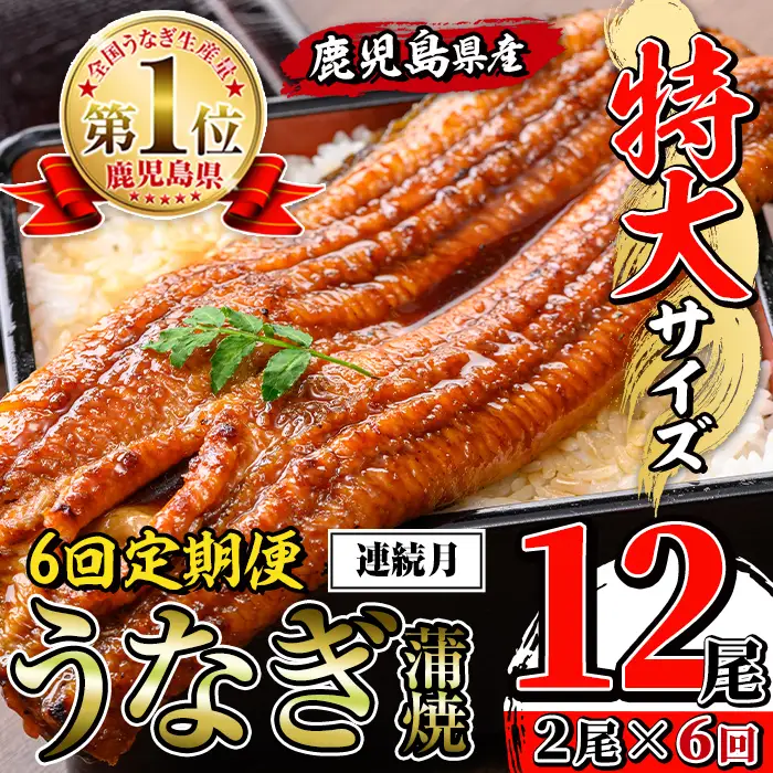 【6回定期便(連続月)】鹿児島県産 うなぎ蒲焼 特大 サイズ 2尾セット ＜（約220g×2・計約440g）×全6回＞ おかず 晩御飯 特別な日 土用の丑の日 【薩摩川内鰻】i1173-A