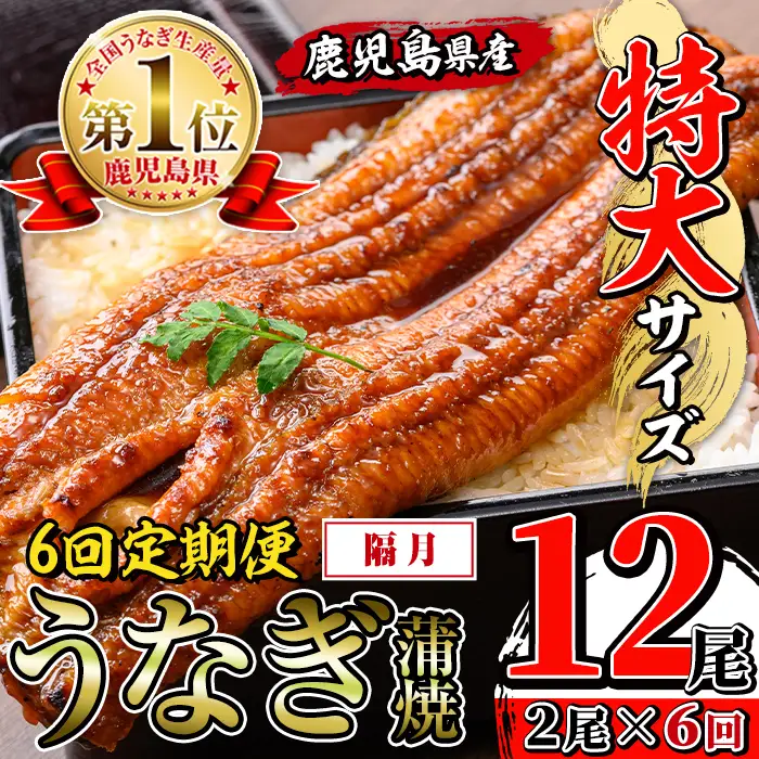 【6回定期便(隔月)】鹿児島県産 うなぎ蒲焼 特大 サイズ 2尾セット ＜（約220g×2・計約440g）×全6回＞  【薩摩川内鰻】 i1173-B