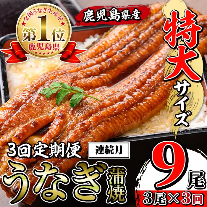 【3回定期便(連続月)】鹿児島県産 うなぎ蒲焼 特大 サイズ 3尾セット＜（約220g×3・計約660g）×全3回＞ 【薩摩川内鰻】 i1174-A