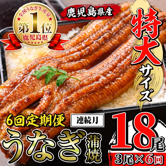 【6回定期便(連続月)】鹿児島県産 うなぎ蒲焼 特大 サイズ 3尾セット ＜（約220g×3・計約660g）×全6回＞ 【薩摩川内鰻】 i1175-A