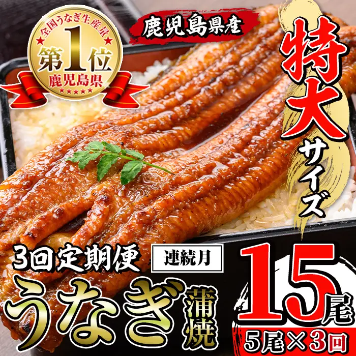 【3回定期便(連続月)】鹿児島県産 うなぎ蒲焼 特大 サイズ 5尾セット ＜（約220g×5・計約1100g）×全3回＞  【薩摩川内鰻】 i1176-A