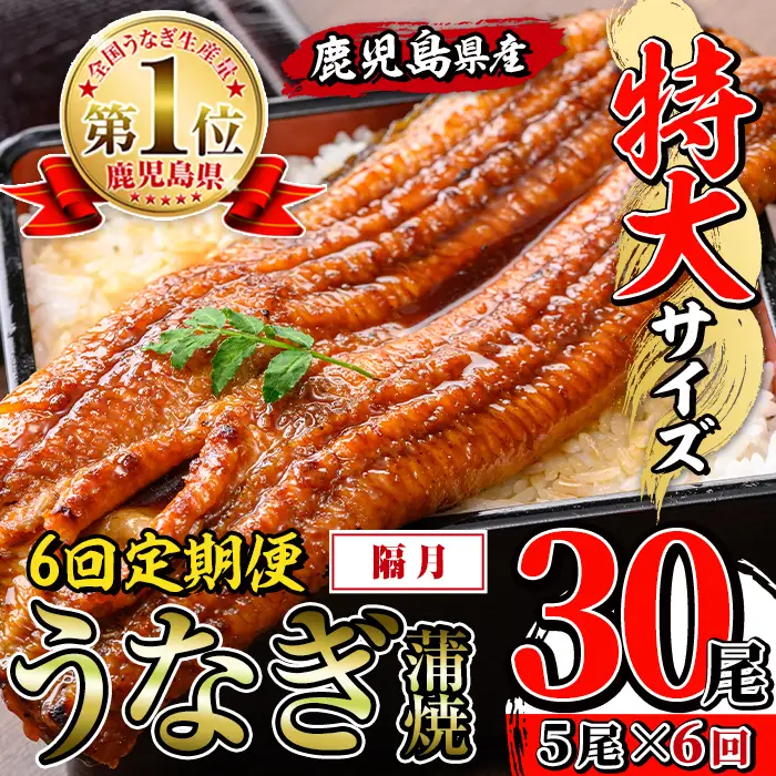 【6回定期便(隔月)】鹿児島県産 うなぎ蒲焼 特大 サイズ 5尾セット ＜（約220g×5・計約1100g）×全6回＞  【薩摩川内鰻】 i1177-B
