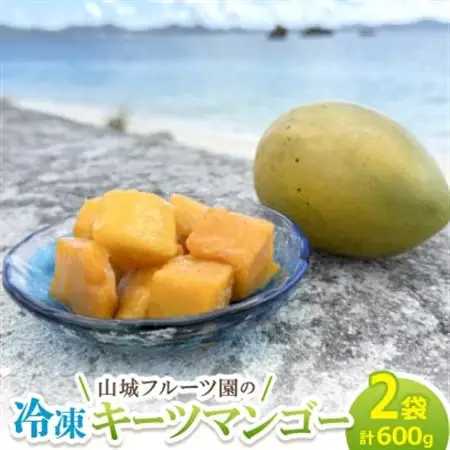 今帰仁産 山城フルーツ園の冷凍キーツマンゴー 600g(300g×2パック)【配送不可地域：離島】【1662750】