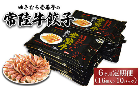 【6ヶ月定期便】ゆきむら壱番亭の常陸牛餃子10パック(160個入り) ※離島への配送不可