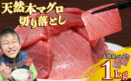 天然本マグロ 切り落とし 大容量パック １ｋｇ ( ５００ｇ×２袋 ) 天然まぐろ 本マグロ 刺身 中トロ 赤身 まぐろ丼 家族みんなで 手巻き寿司 寿司 天然 まぐろ マグロ 簡単 時短 冷凍 魚介 海鮮 トロ 鮪 人気 返礼品 三重県 尾鷲市 CH-107
