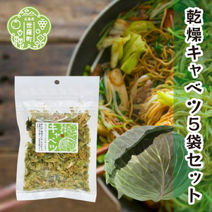 乾燥キャベツ 40g×5袋セット 乾燥野菜 非常食 備蓄 味噌汁 具 野菜 ダイエット 食物繊維 野菜補給 時短調理 常備菜 長期保存 朝ごはん ラーメン チャーハン キャンプ アウトドア 世羅 A047-13