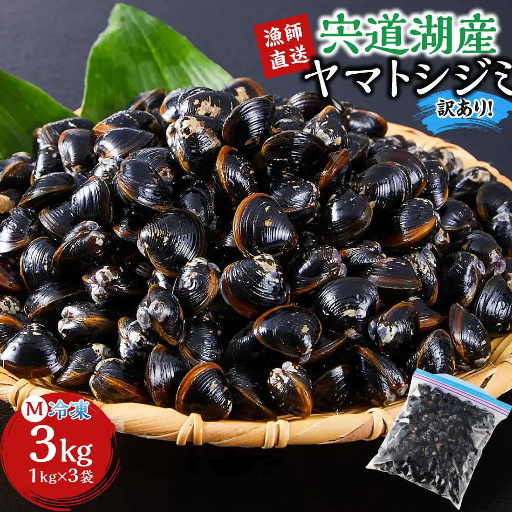 漁師直送！宍道湖産 ヤマトシジミ・Mサイズ 冷凍 3kg）| しじみ