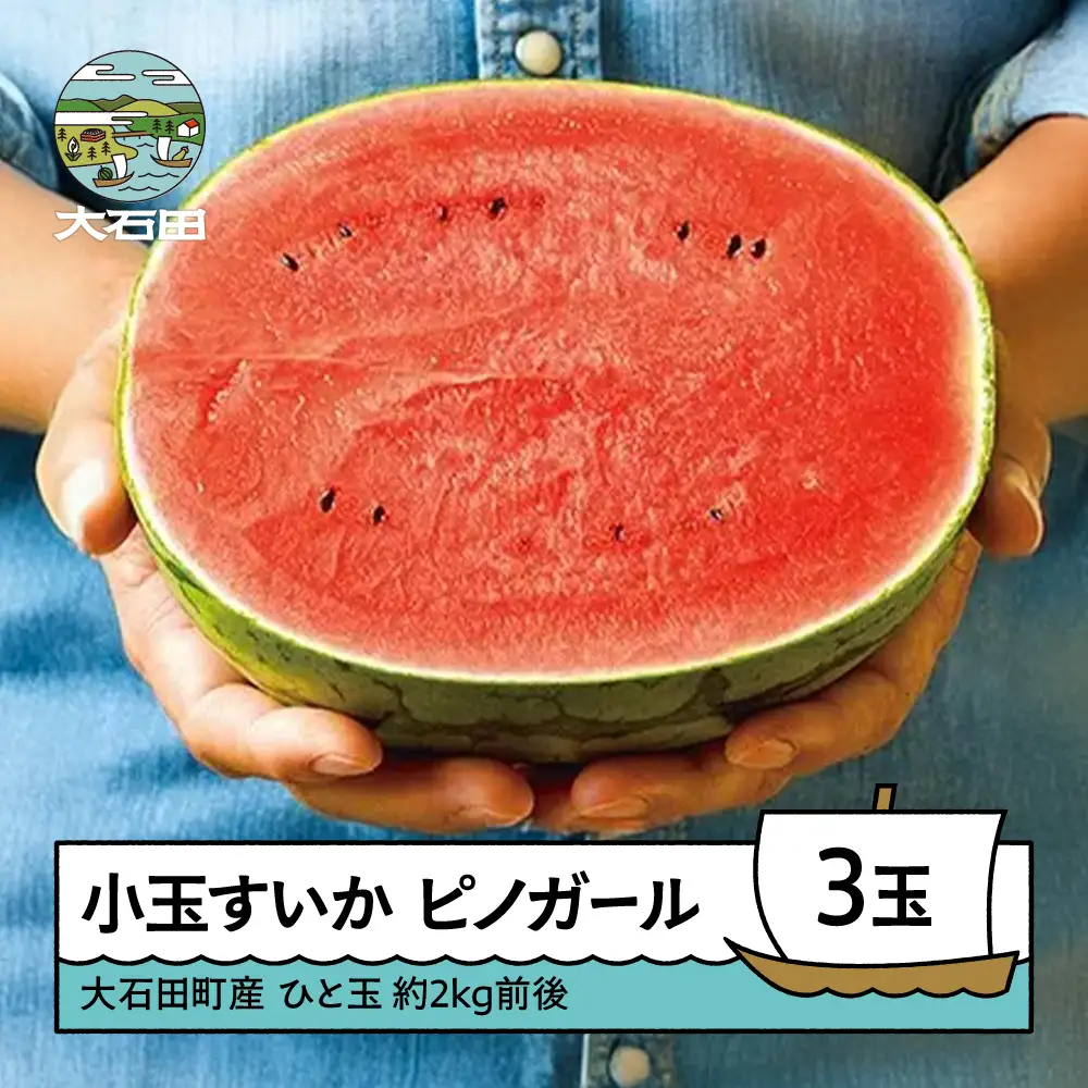 小玉 すいか ピノガール 約2kg×3玉 令和8年産 山形県産 mn-sukxx3