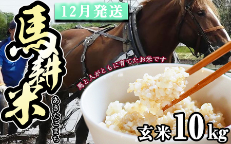 【 2026年 12月中旬より発送】 岩手県産 馬耕米 あきたこまち 玄米 10kg 【スタディア】 新米 お米 米 こめ コメ 馬ふん堆肥 使用 ご飯 ごはん ライス おにぎり 弁当 単一原料米 10キロ １０kg 馬耕 馬 ウマ うま 産地直送 国産 おすすめ 人気 自宅用 家庭用 仕送り プレゼント 常温 常温発送