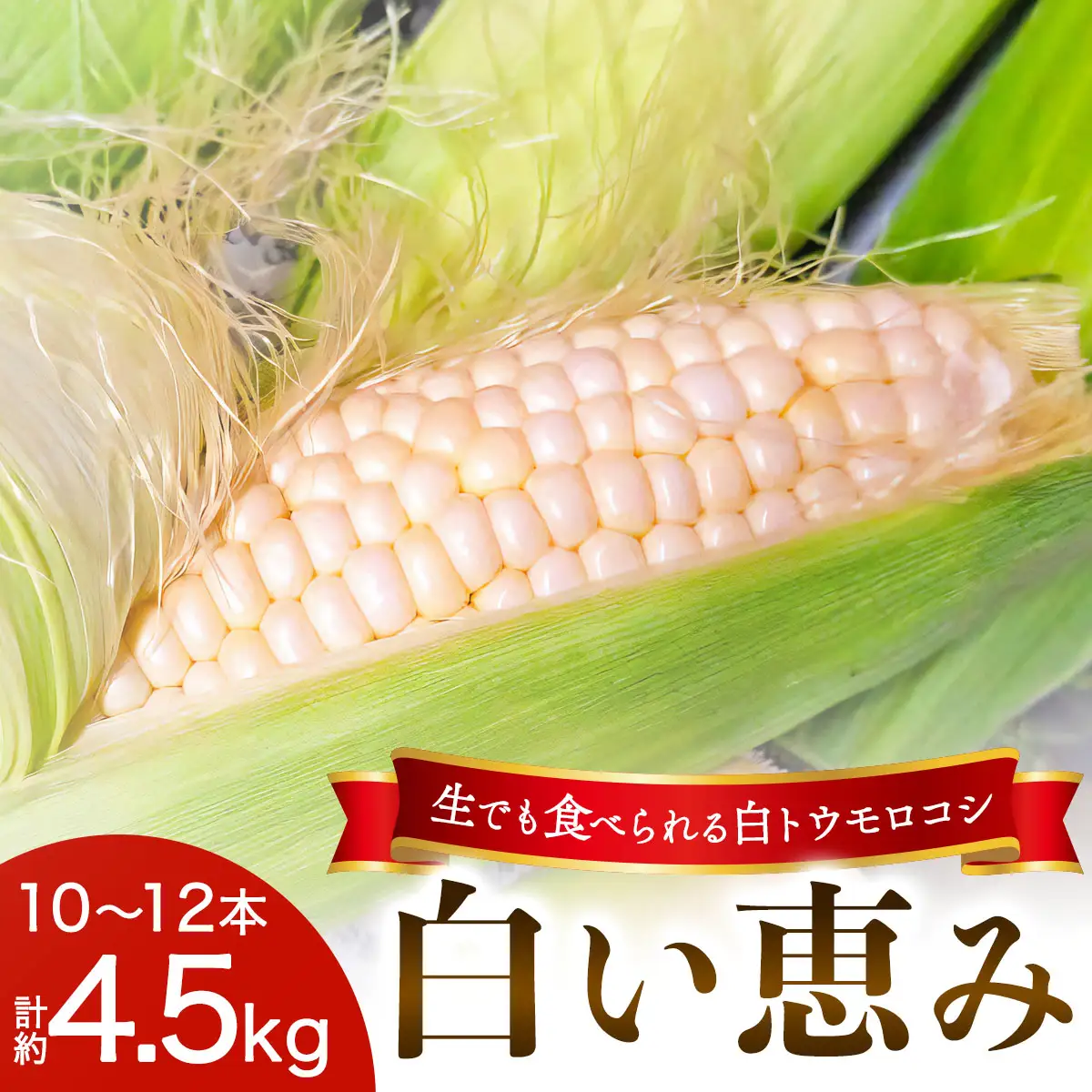 [先行予約] 生でも食べられる白いトウモロコシ「白い恵み」10本から12本／約4,5kg [0720]