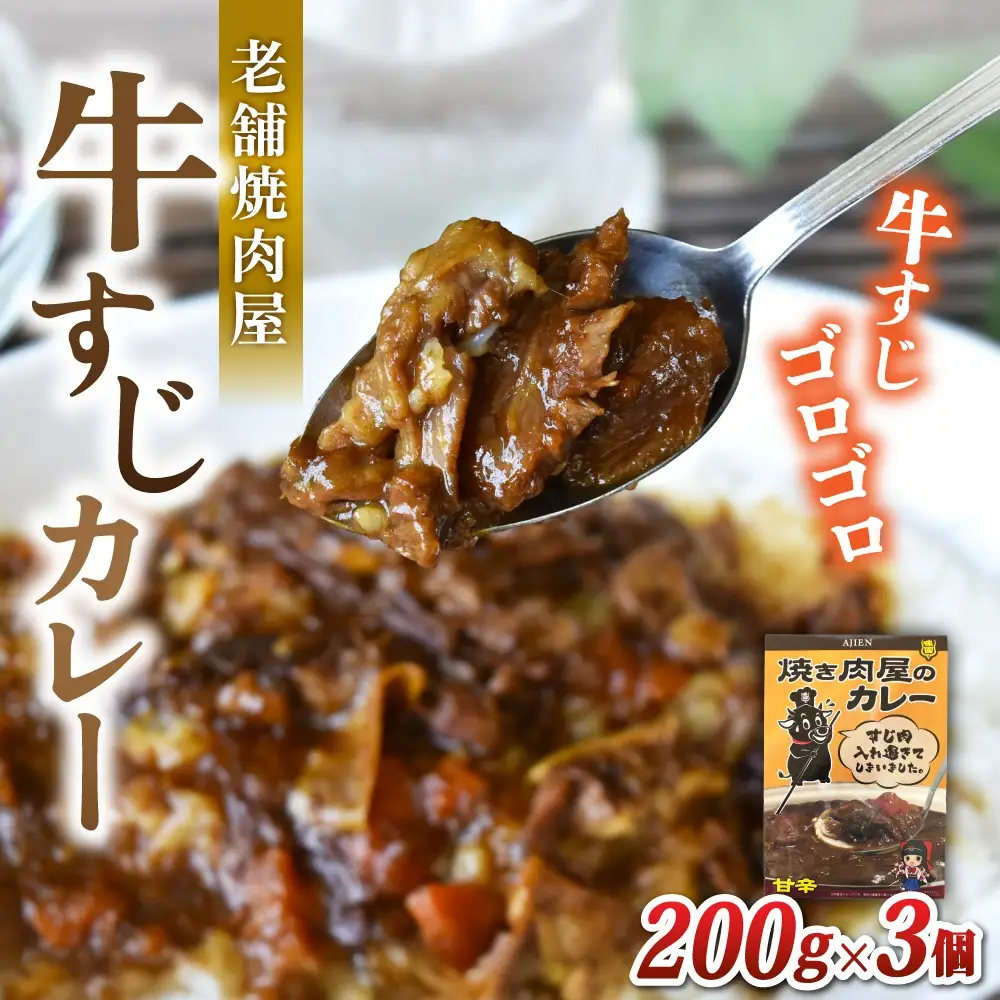 カレー 味園特選 牛すじカレー200g×3個 国産黒毛和牛 / 焼肉ホルモン味園 カレー 奈良県 葛城市 【ajen002】