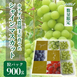 世羅産シャインマスカット粒パック 約900g(3パック)【先行予約・数量限定】カナダ人農園主 ぶどう ブドウ マスカット フルーツ 果物 くだもの 産地直送 世羅 ラピアビンヤード【2026年9月下旬以降順次発送】 A021-10　