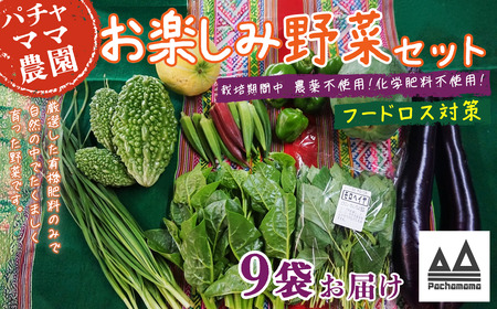 野菜 9袋 訳あり 詰め合わせ お任せ 旬 野菜