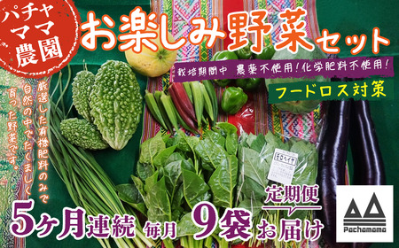 野菜 9袋 訳あり 5ヶ月 定期便 詰め合わせ お任せ 旬 野菜