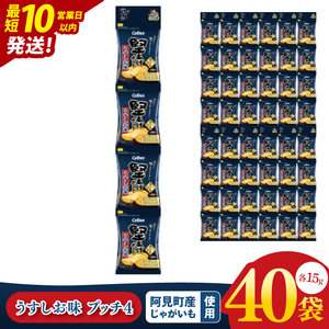 【10営業日以内に出荷】カルビー 堅あげポテト うすしお味 プッチ4 60g(15g×4袋)×10個｜Calbee お菓子 菓子 おやつ おかし ぽてち ポテチ スナック おつまみ ジャガイモ じゃがいも 小分け 個包装（93-64）