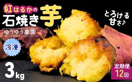【定期便12回】【訳あり】ゆうゆう農園の焼き芋 冷凍 3kg | 冷凍 焼き芋