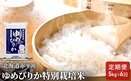 北海道赤平産 ゆめぴりか 5kg 特別栽培米 【6回お届け】 精米 米 北海道 定期便 ふるさと納税 