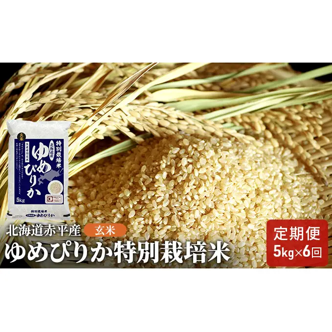 玄米 北海道赤平産 ゆめぴりか 5kg 特別栽培米 【6回お届け】 米 北海道 定期便 お米 ふるさと納税 